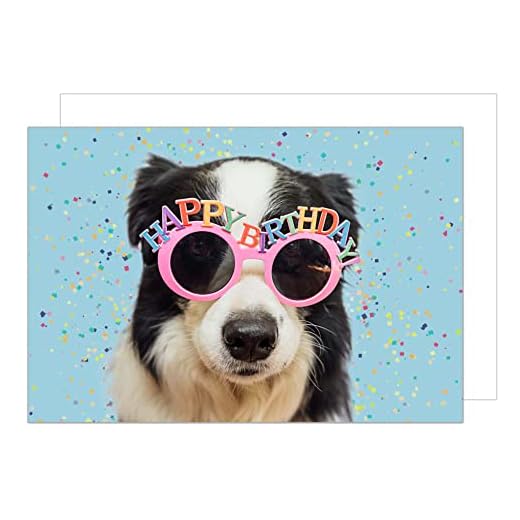 Edition Seidel Tarjeta de felicitación de cumpleaños premium con sobre Happy Birthday Tarjeta de felicitación Hombre Mujer Animal Perro Gafas Humor Divertido (G3419 SW023)