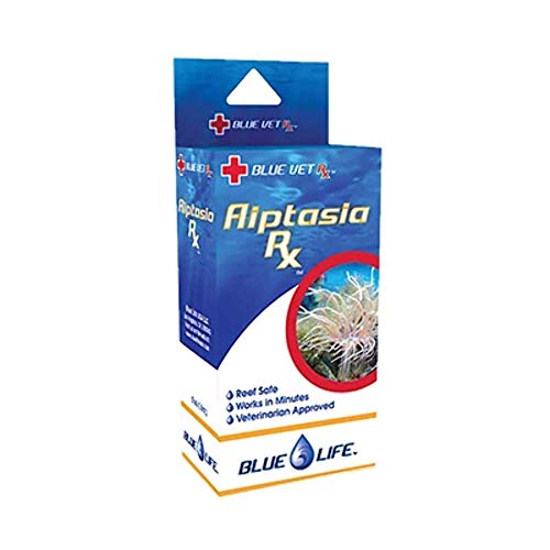 List of Top Ten Best Fish For Aiptasia 2023 Reviews