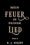 dunkelblauer stein  Die Dunkelheit der Drachen: Mein Feuer in deinem Lied 10