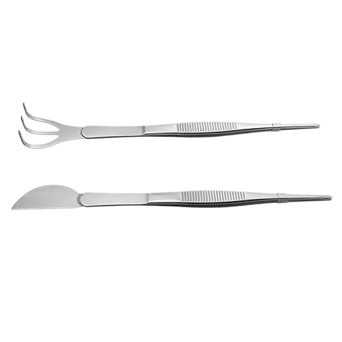 Miniatura 6 de Happyyami 3 Unidades de acero inoxidable Bonsái Pinzas Rastrillo Herramienta de rastrillo multifunción de jardinería rastrillo para suculentas 2