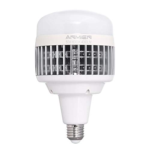 Bombillas LED E27 50W (Equivalente a 450 vatios), Blanca Fria 6000K No Regulable,Bombillas LED de 4000 Lumens 1-Pack (T-50W)