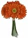Tangerine Orange Daisy Bouquet - Bridal Wedding Bouquet