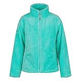icepeak softshell jacke damen seitliche Einschubtaschen mit Elastikeinfassung