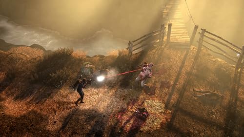 The Last Stand Aftermath (Playstation 4)