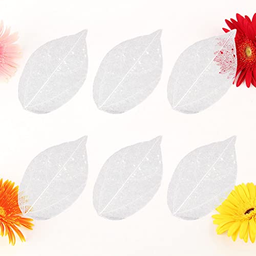 6 hojas naturales esqueletizadas blancas para manualidades miniatura 4