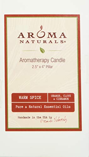 image for Aroma Naturals Holiday Essential Oil Scented Pillar Candle, Orange, Cl