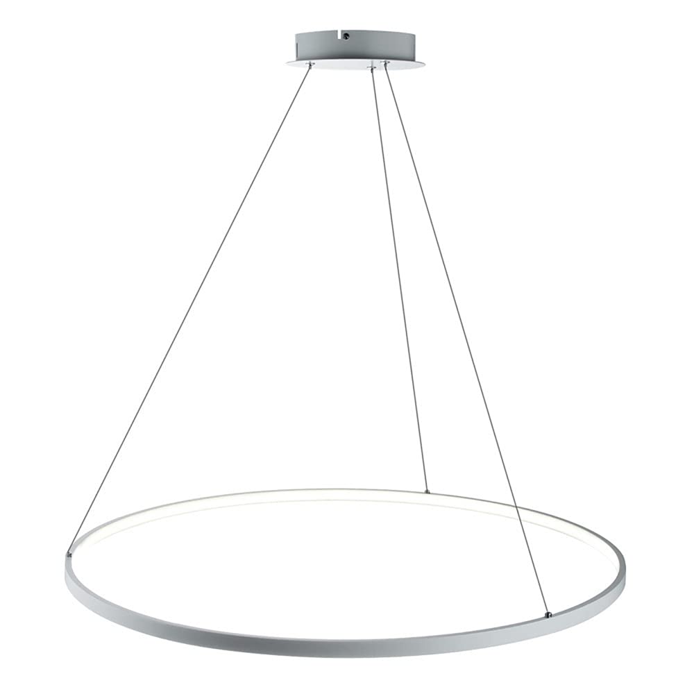 Ring Circle LED Pendant Light, Modern Metal Acrylic Chandelier Height Adjustable Hanging Lamp for Living Room, Bedroom, Dining Table,White+Cool White-60cm 38W