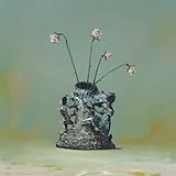 Everywhere At The End Of Time - Stage 2 [Vinyl LP]