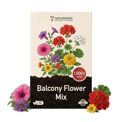 Grounding - Mélange de graines de fleurs pour balcon multicolore, 1500+ graines - Annuelles compactes et retombantes pour pots et jardinières, floraison...