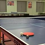  Table Tennis