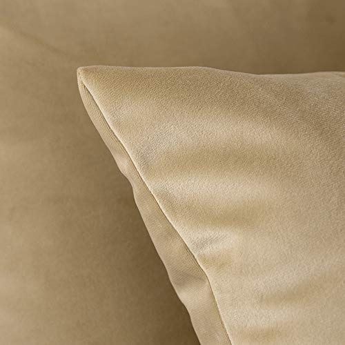 Miulee DOUBLE-20INCH-THROW-PILLOW-17 Pack Of 2, Velvet Soft Solid Decorative Square Throw Pillow Covers Set Cushion Case thumb #1
