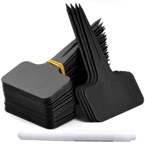 KINGLAKE 1000 Pezzi 10X2CM Etichette targhette per Piante Etichetta di plastica Giardino Esterna Etichetta Seme con Foro ,Bianco