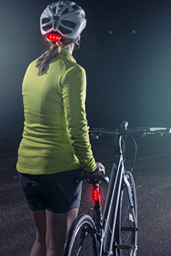 Everlightfx Usb Rechargeable Led Safety Light (2 Pack) By Apace - Super Bright Bike Tail Light Works Brilliantly As Running Light For Joggers, Pets, Bicycle Strobe Or Rear Clip On Lights #TOP5