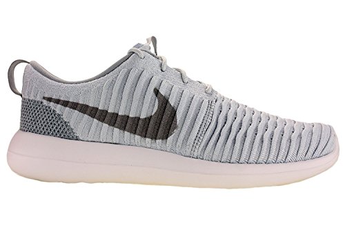 Nike Mens Roshe Two Flyknit Running Shoes Pure Platinum/Wolf Grey/White 844833-011 Size 10