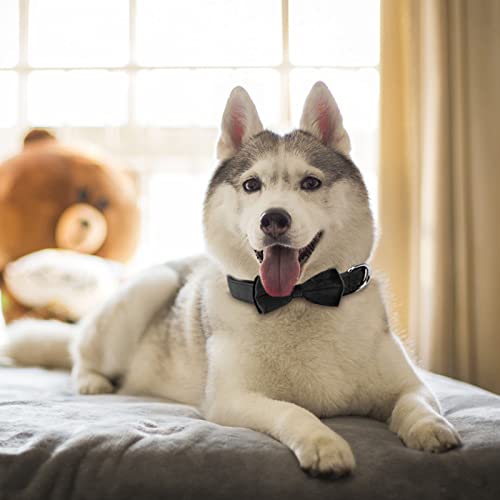 KTWSUEF Hundehalsband Samtiges, mit Abnehmbarer Hunde Fliege, Komfortable Verstellbares Samtige Halsband Hund, Geeignet für Hunde Kleine Mittel große Hunde, Für Hochzeiten, Geburtstage, Partys usw