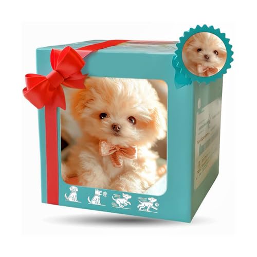 {bg ^ybg ai^  i  KU qdqʂ݃{bg v[gƂ