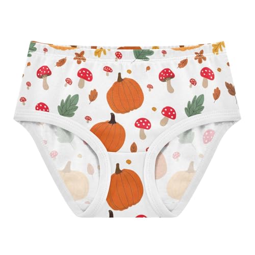 Autumn Pumpkins Toddler Underwear Custom 2t Cotton Cute Panties Girl Colorful Underpants Briefs