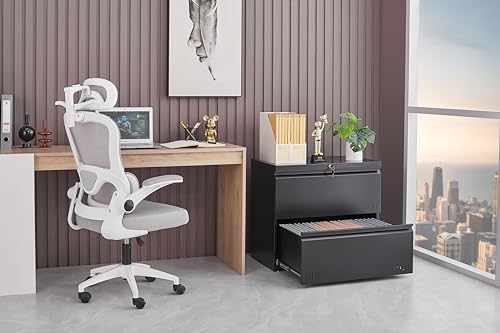 Image of Guizeeopo 2 Drawer File Cabinet, Lateral File Cabinet with Lock, Printer Stand, Heavy Duty Office Storage Cabinet, Filing Cabinets for Home Office, A4 /Letter /Legal Size, Assembly Required(Black)