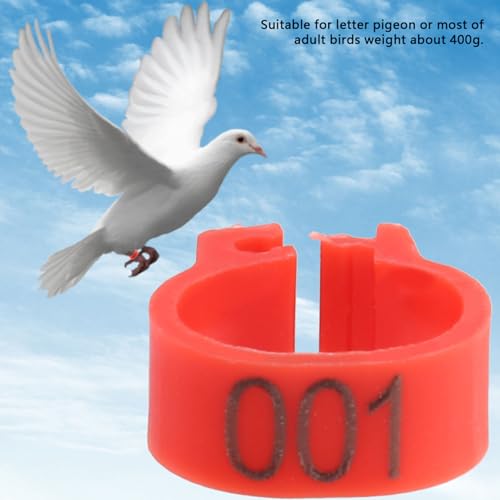 Faixas de perna de plástico numeradas para pombos e pássaros, acessórios abs para zoológico de fazen