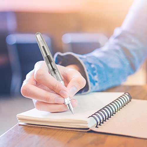 16 Pieces Fountain Pen Refillable Disposable Fountain Pens For Writing Fine Nib Signature Ink Pen Piston Filling Pen For Calligraphy Painting, Drawing, School, Scrapbook And Sketch(Clear Color) #TOP4