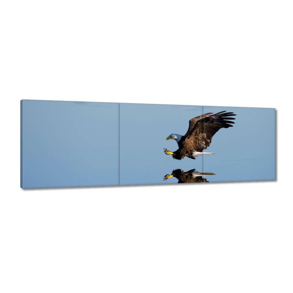 Tableau aigle de chasse 150x50cm impression sur toile