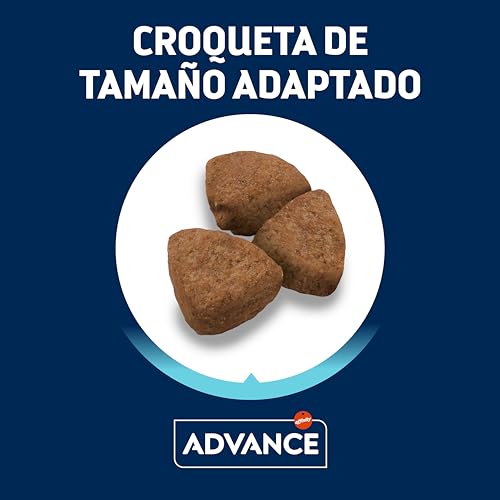 Advance Maxi Chicken, Pienso para Perros Adultos de Razas Grandes con Pollo, 14kg