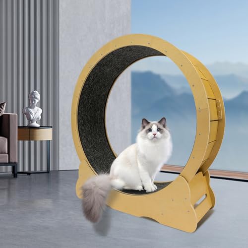 image for LIAPDG Cat Exercise Wheel, Cat Treadmill for Indoor with Fish-Shaped C