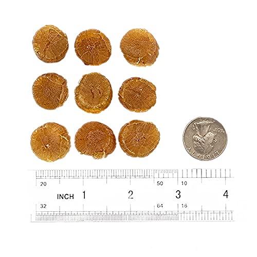 Bestliving Scallop Dried Japanese Scallops にっぽん日本のほし干しもと元かい貝 Nippon No Hoshi Moto Kai 日本元贝 干元贝 日本瑶柱(Sas) 8Oz // 1 Box Order Packages By Mail From Usa thumb #1