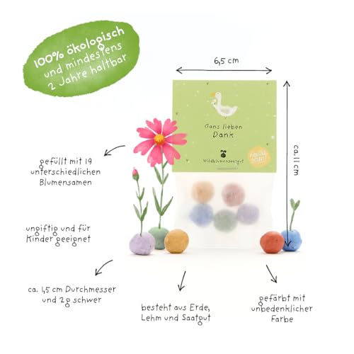 Nachhaltiges Dankeschön-Geschenk: 5 bunte Blumenmurmeln | Farbenfrohe Seedbombs mit Wildblumensaatgut | Als Gastgeschenk, Dankeschön & kleine Aufmerksamkeit | 100% ökologisch und mind. 2 Jahre haltbar