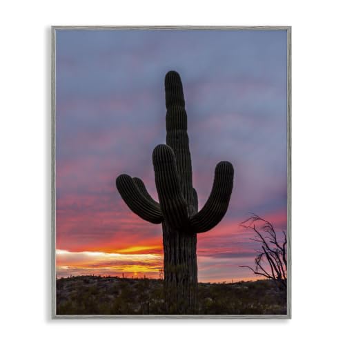 Desert Cactus Sunset Silhouette, 24 x 30 Inch Framed Giclée Print
