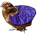 LoveNCreatures - Diva Edition - Chicken Saddle Jacket (2 Apron Pack) Hen Supplies w/Over The Wing Poultry Feather Saver | Hackle to Tail Safety Pad & Pecking Protection Vest -Medium/Large Breeds