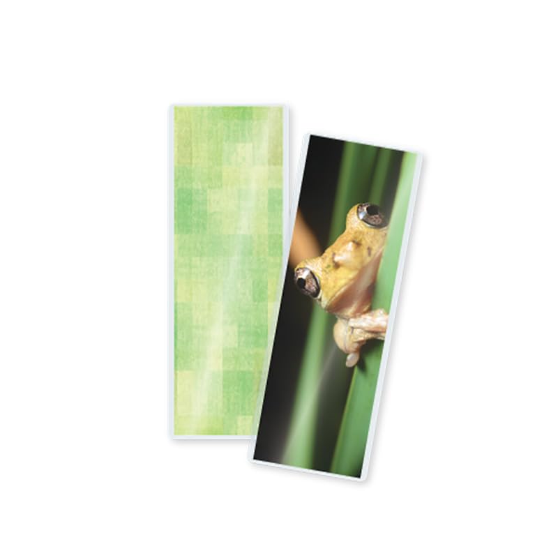 TruLam 5 Mil Laminating Pouches with Rounded Corners | Bookmark Small Size | 2-1/8 in. x 6 in. | Glossy Finish | Premium Adhesive for High-Clarity | 2 Carriers Included | 200 Pack
