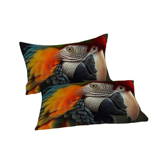 Parure de lit perroquet coloré en microfibre avec housse de couette double 200x200cm