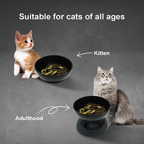 Raised Cat Food Bowl,Elevated Food And Water Dish For Cats Or Dogs,Melamine Anti Vomit Cat Bowl With Slow Feeder, Removable Pet Bowls For Cats And Small Dogs (Black) #TOP2