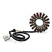 MZS 21-118 Electric Stator Compatible with CBR1000RR SC57 2004 2005 2006 2007