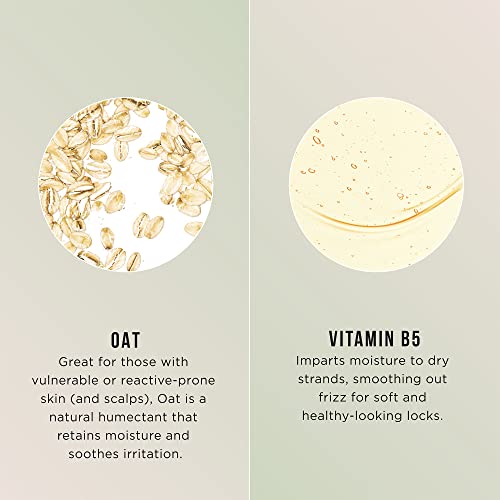 Hask Sensitive Care Shampoo + Conditioner Set Fragrance Free, Vegan, Color Safe, Gluten-Free, Sulfate-Free, Paraben-Free, Cruelty-Free - 1 Shampoo And 1 Conditioner #TOP5