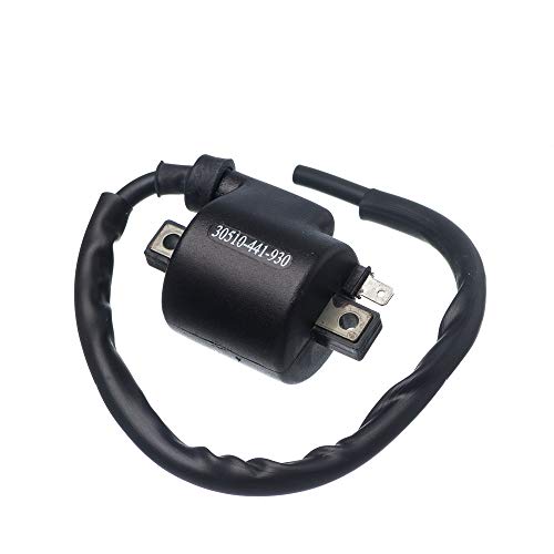 Bobina Ignicao Condor 12V Tur/Xls/83.