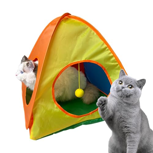 Lp|[^ueg | p܂肽݉^eg,ʋC Θb^ LbgGN[W[  O oRj[  vCGAp