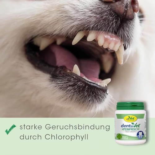 dentaVet Atemfrisch 40g | für Hunde mit störendem Mundgeruch