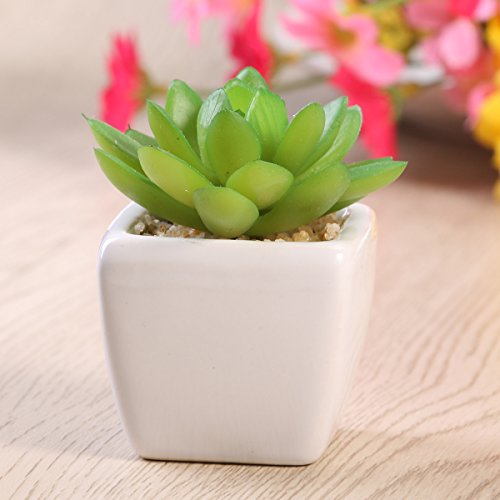 WINOMO 3 peças de mini plantas suculentas artificiais com vaso de cerâmica branca