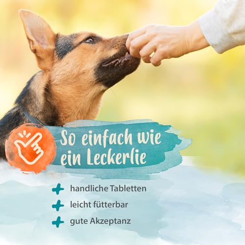Ida Plus Diar-Stopp Tabs - Kautabletten gegen Hunde-Durchfall - Durchfallmittel - Hund-Darmflora aufbauen mit Probiotika - Darmsanierung - Stoppt Durchfall - 120 Tabletten