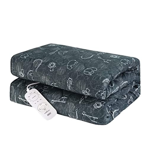 10 Best Electric Blanket Queen Size Dual Control Auto Shut Off July 2023