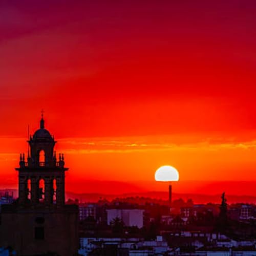 "El regulador olvidado: la pausa que sostiene la vida"