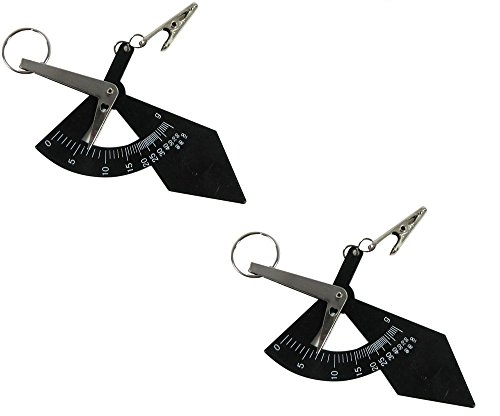 (Set of 2) Accurate World Smallest Postal Weights Scales in grams (0 to 100) or ounces Clips and balances Alligator Jaws