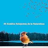  Bird Classic