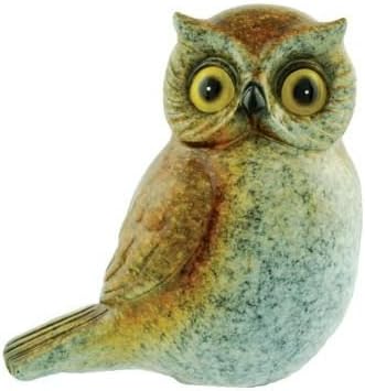 Glossy (Random Style), 4-inch
