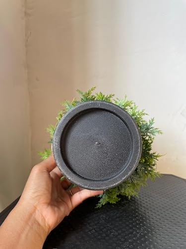Image of Artificial Realistic Coriander Leaves Bonsai Potted Plant for Home Office Kitchen Living Room Hotel Restorent Table Corner Center Piece | Natural Look | Show Piece | 36 cm