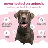 Babyfrisch Hundeshampoo von Buddycare - Shampoo für müffelige Hunde ab 8 Wochen - Baby-Puder-duftendes Welpen-Shampoo mit Aloe Vera und Provitamin B5 (500ml)