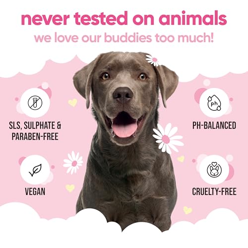 Babyfrisch Hundeshampoo von Buddycare - Shampoo für müffelige Hunde ab 8 Wochen - Baby-Puder-duftendes Welpen-Shampoo mit Aloe Vera und Provitamin B5 (500ml)