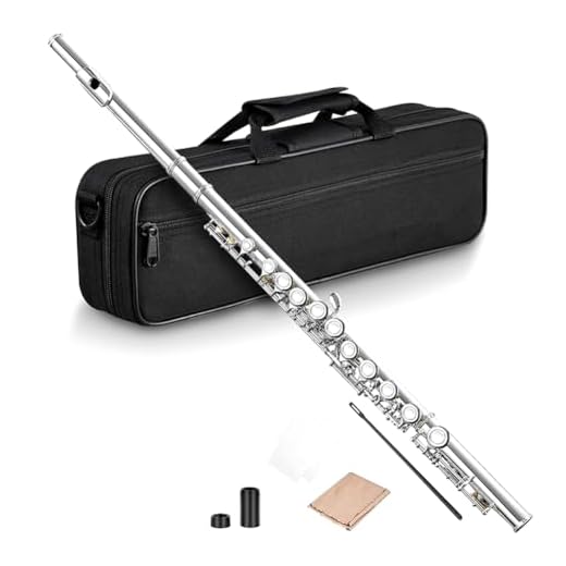 Orolotay 16 Agujeros Abiertos Cerrados Llave C Flauta Transversal Profesional Instrumento Musical de Concierto con Caja Paño de Limpieza Guantes de